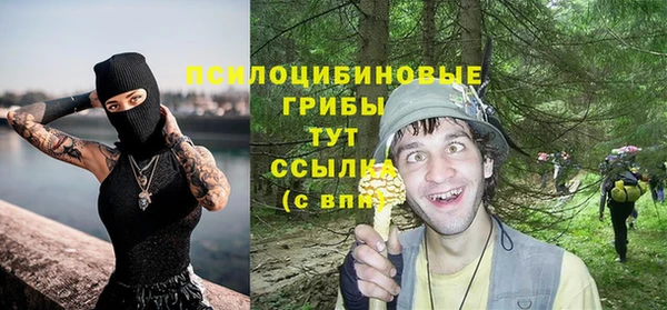 соль ск Волосово