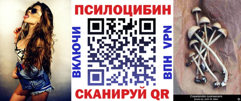 купить наркотик  Нальчик  ссылка на мегу сайт  Псилоцибиновые грибы MAGIC MUSHROOMS 